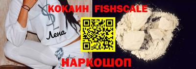 таблы Новозыбков
