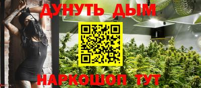 сатива Обнинск