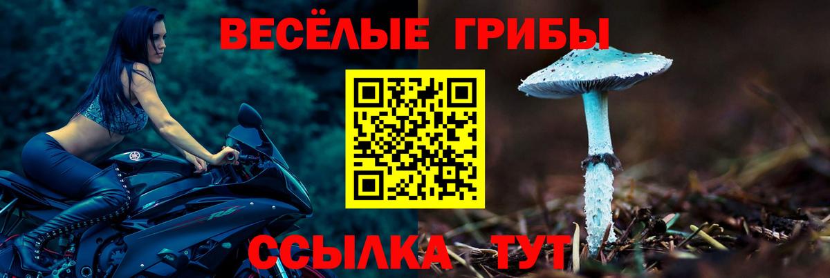 Псилоцибиновые грибы мухоморы  Вход с VPN  Урюпинск 