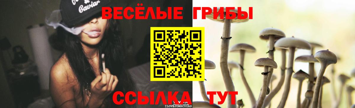 Галлюциногенные грибы GOLDEN TEACHER Урюпинск